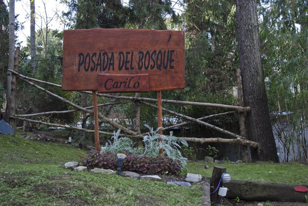 Posada Del Bosque By Hs カリロ エクステリア 写真