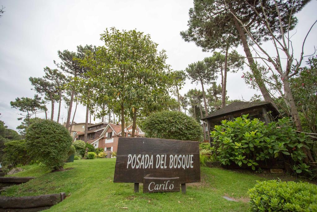 Posada Del Bosque By Hs カリロ エクステリア 写真