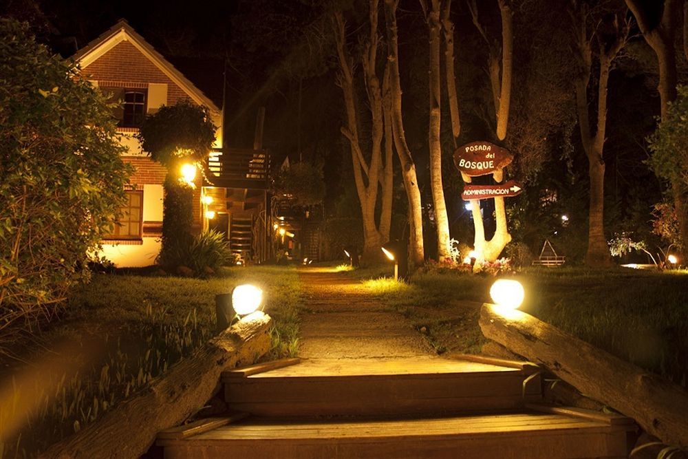 Posada Del Bosque By Hs カリロ エクステリア 写真